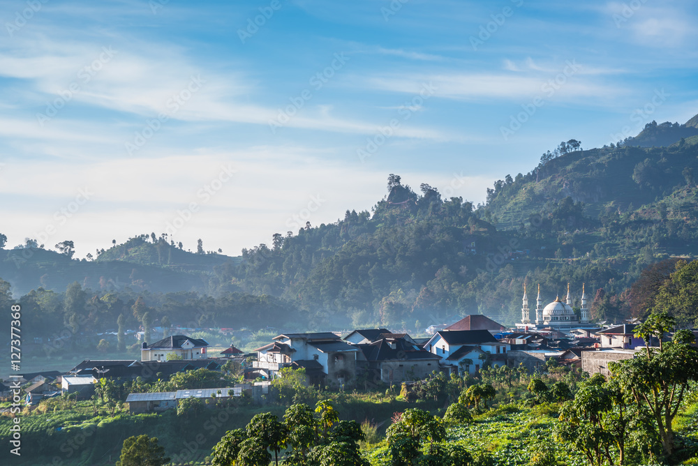 Obraz premium In the morning