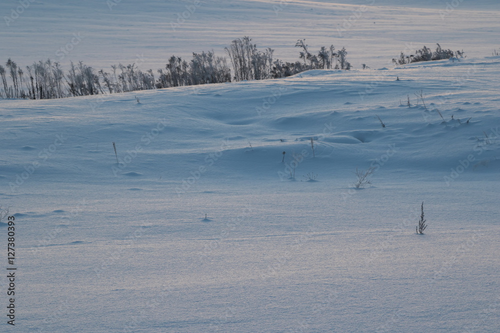 Snow field in beams of a rising sun