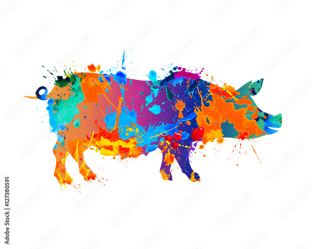 Obraz Zwierzę hodowlane. Świnia. Farba rozbryzgowa