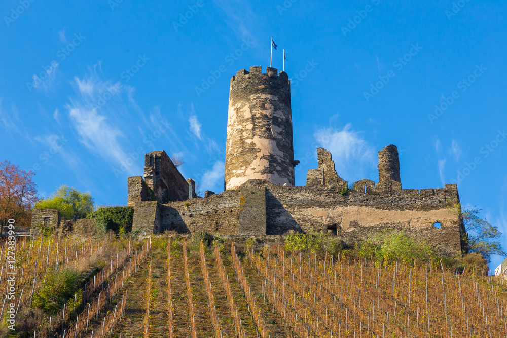 Burg Fürstenberg in Rheindiebach am Rhein. (November 2016) Burg Fürstenberg in Rheindiebach am Rhein. (November 2016)