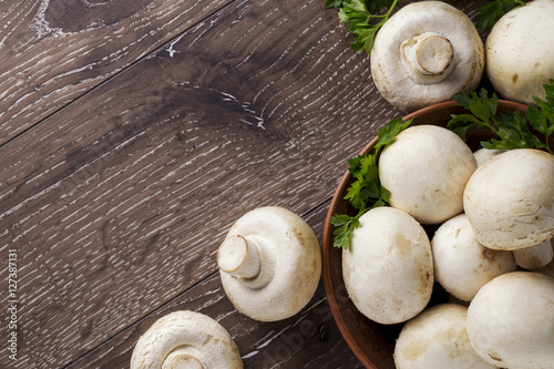 edible raw mushrooms