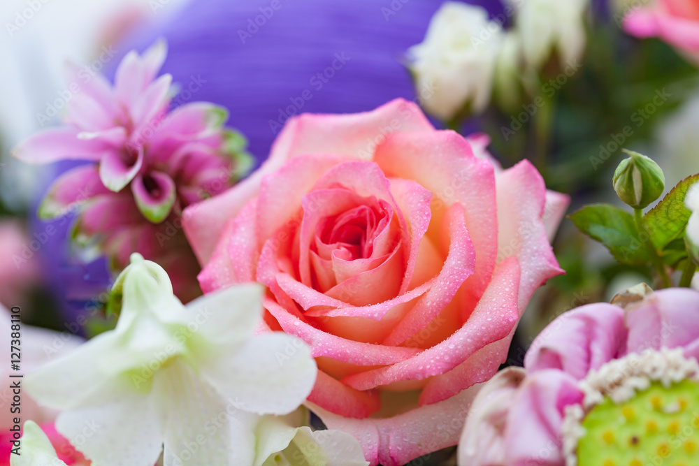 Closeup roses bouquet Closeup roses bouquet