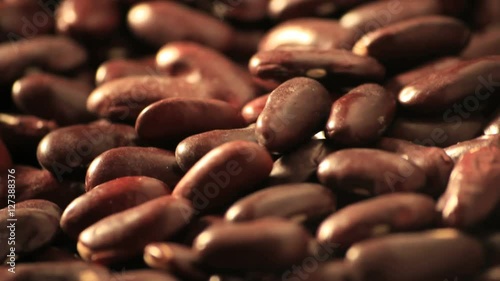 Red beans tracking shot photo