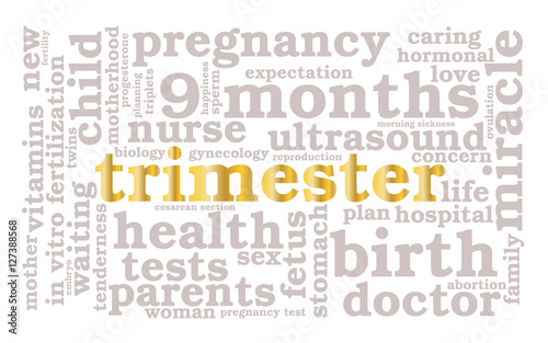 Trimester. Word cloud, golden font, white background. The miracle of birth.