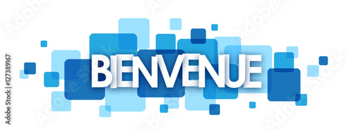 "BIENVENUE" icône vecteur