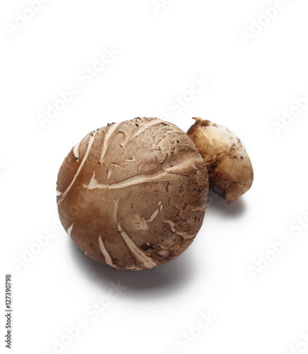 Whole raw Shitake Mushroom isolated against white background.
