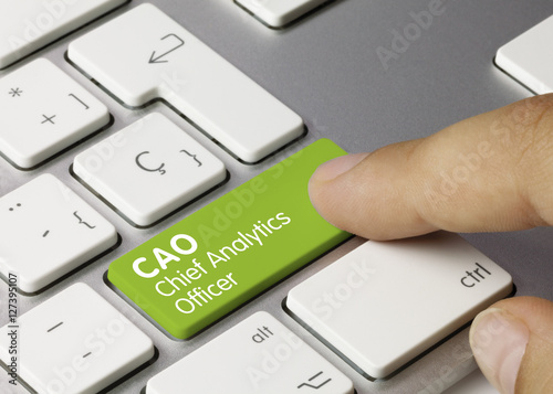 CAO. Chief Analytics Officer
