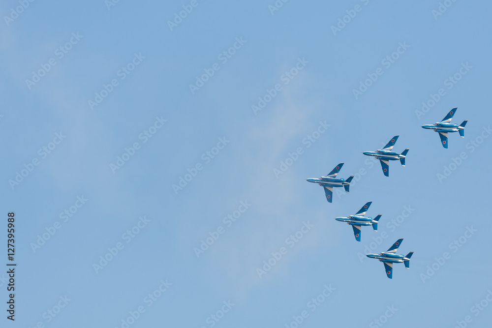 Obraz premium ブルーインパルス