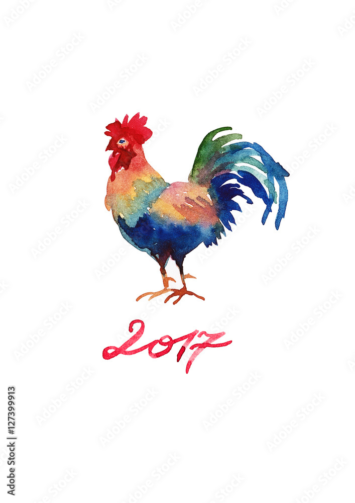 Chinese symbol of New 2017 - cock. Watercolor illustration