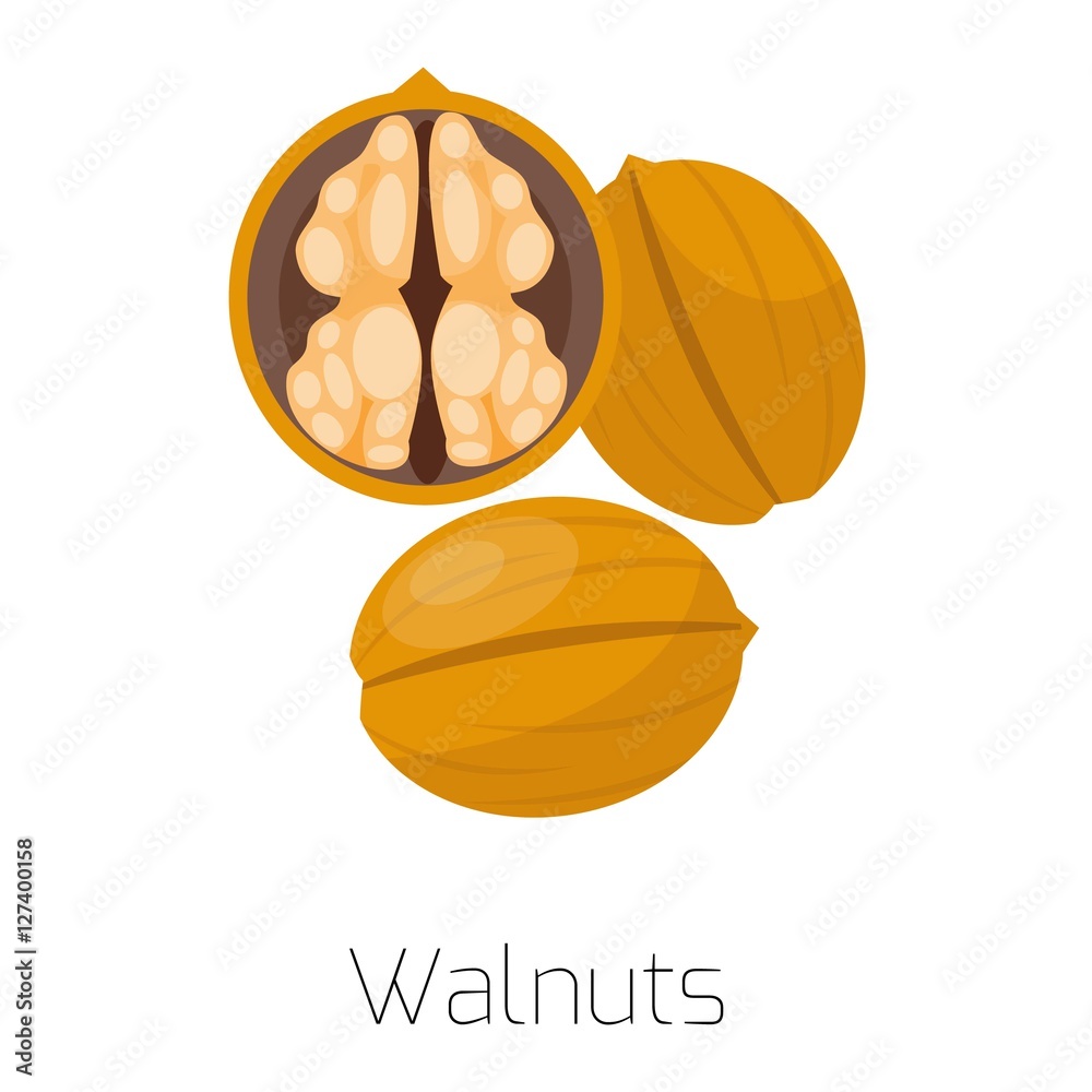 Pile of nuts vector illustration walnuts Pile of nuts vector illustration walnuts