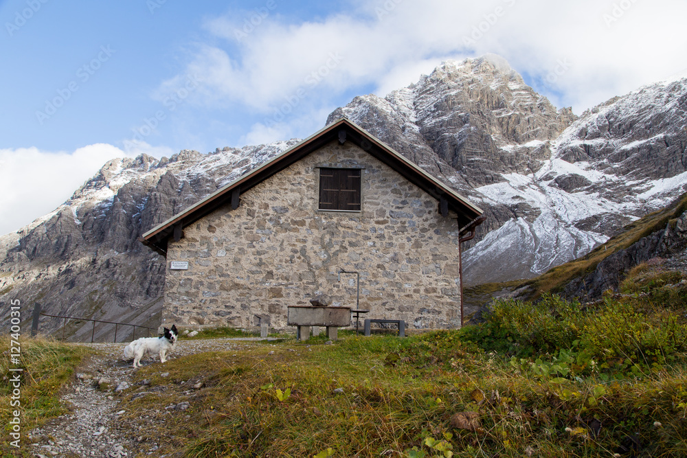 Hund vor Kaufbeuer Haus