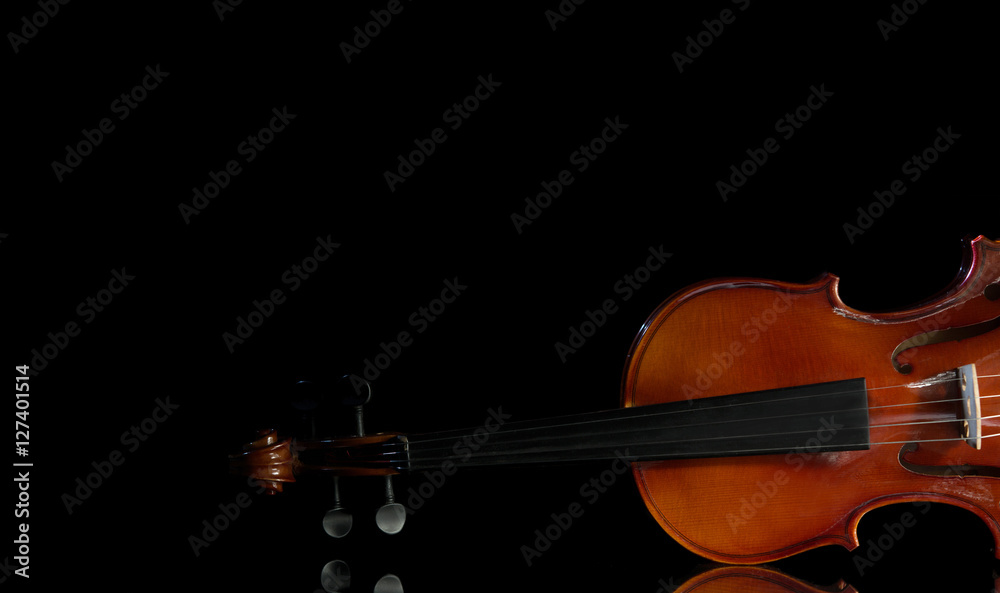 Fototapeta premium Violin and rose, Violin orchestra musical instruments 
