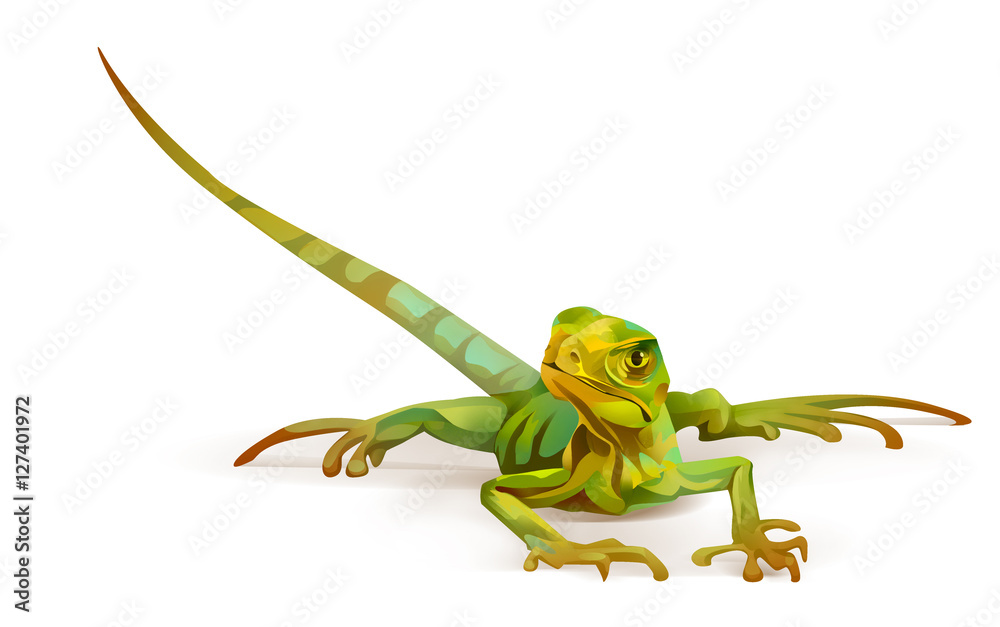 Fototapeta premium Bright painted lizard on a white background