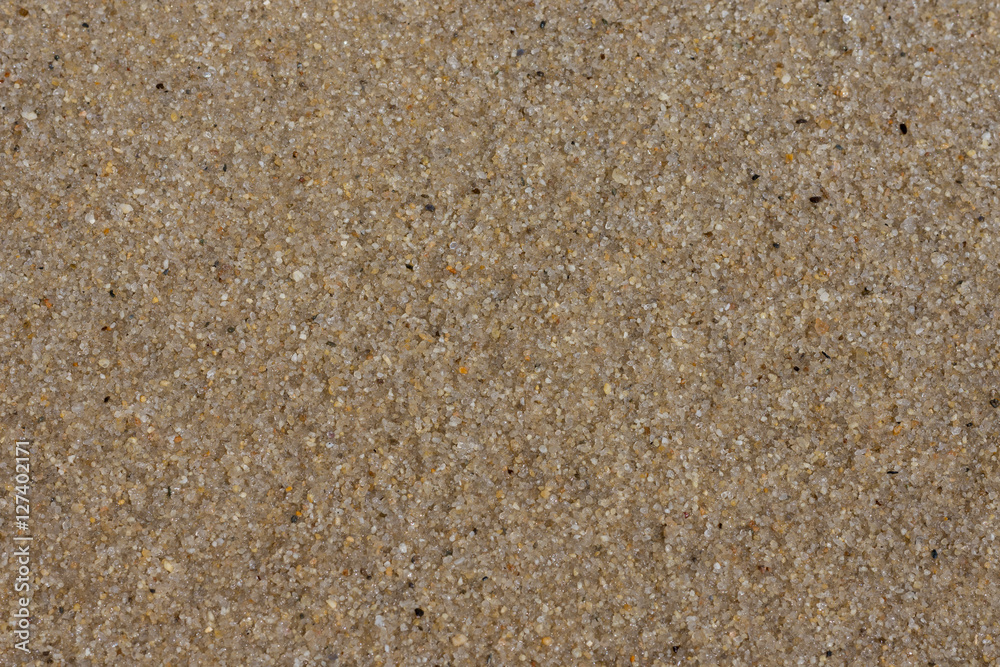 Wet mediterranian sand - texture 1 Wet mediterranian sand - texture 1
