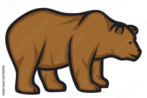 wild bear (grizzly)