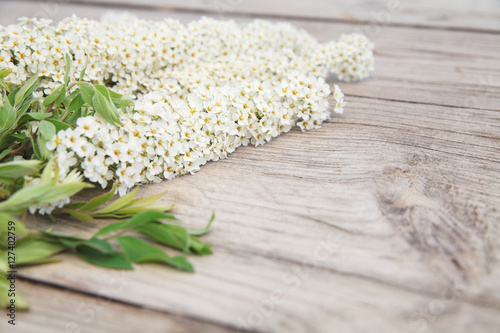 White flowers on vintage wooden background.Space for your text.