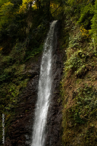 Water Falling at Yoro Waterfall in Gifu, Japan, November, 2016