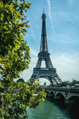Eiffel Tower © danmal25