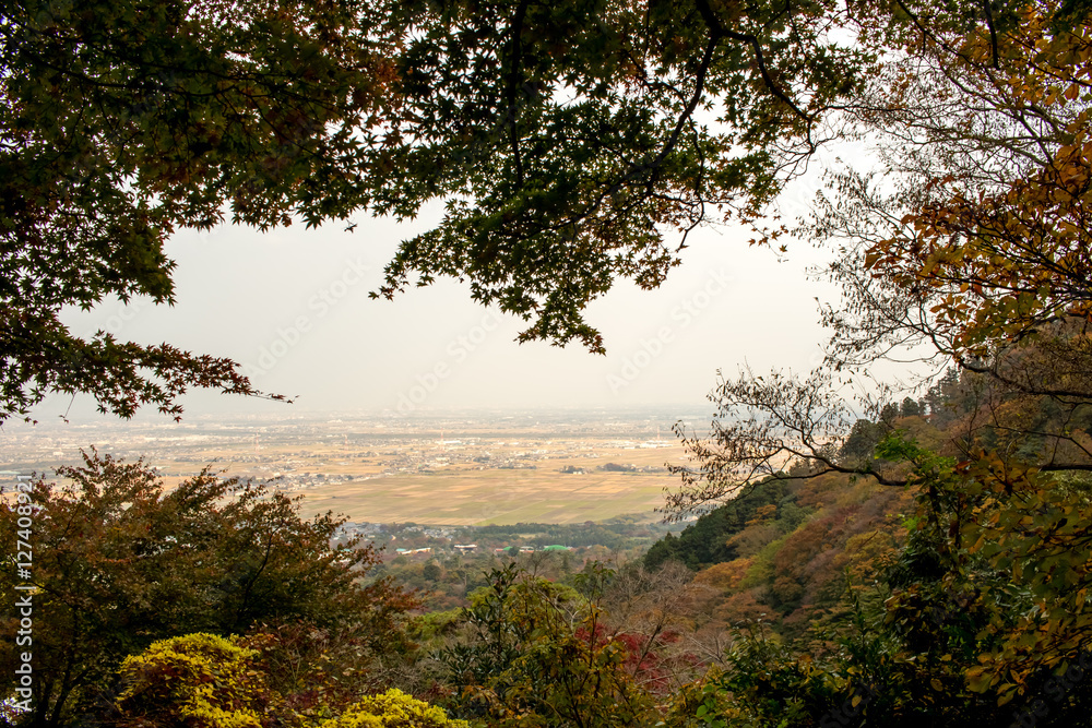 View From Mountain at Yoro Waterfall in Gifu, Japan, November, 2