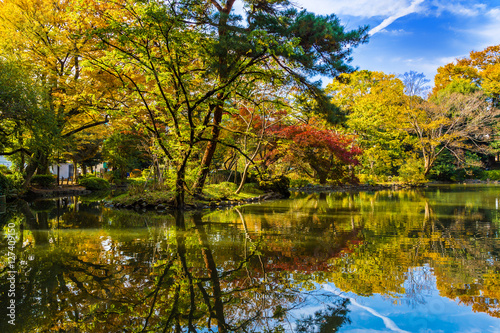 The pond and autumn leaves and trees in Arisugawa Park.The shooting location is Arisugawa Park in Minami Azabu, Minato-ku, Tokyo, Japan.