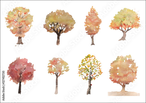 Autumn tree collection