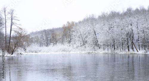 nature in winter © gera85
