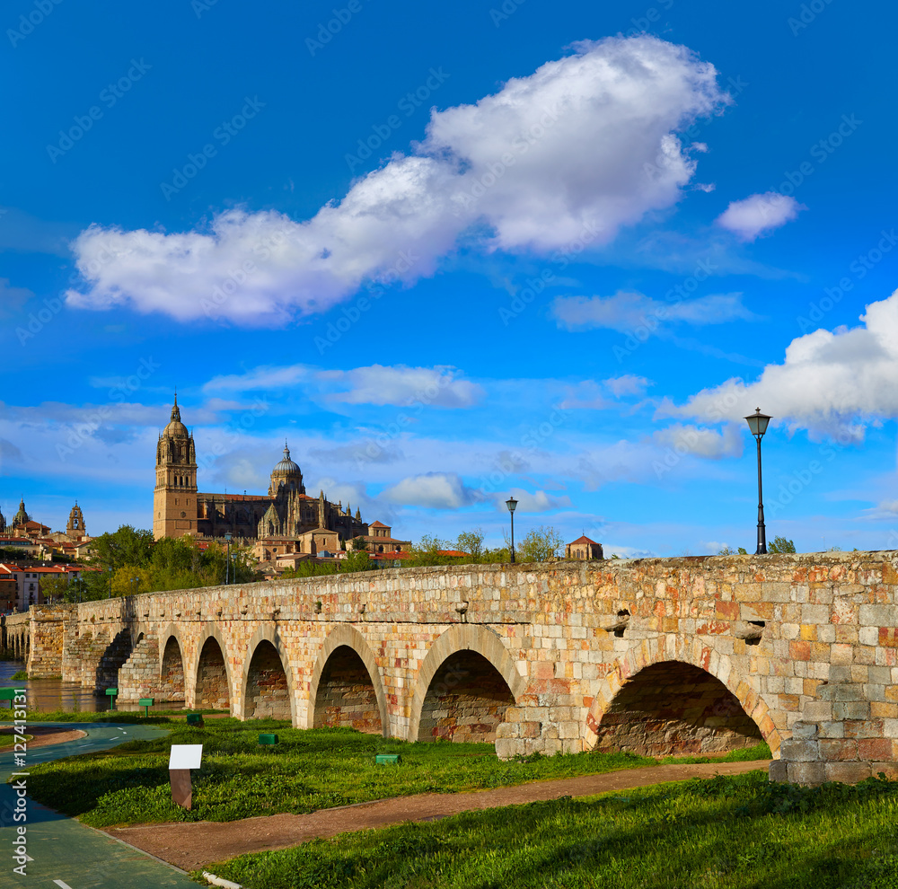 Salamanca skyline and roman bridge on Tormes