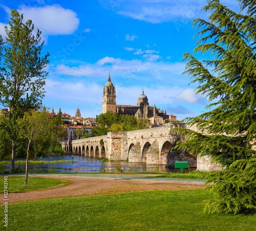 Salamanca skyline and roman bridge on Tormes photo