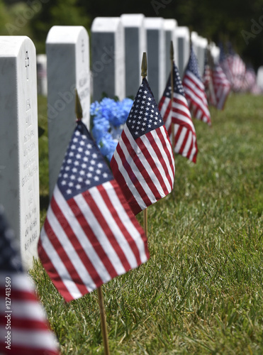 American flags are placed at graves during Memorial Day Program at Camp Nelson National Cemetery Monday, May 30, 2016...