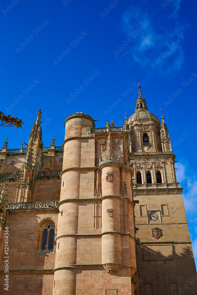 Salamanca Cathedral facade in Spain