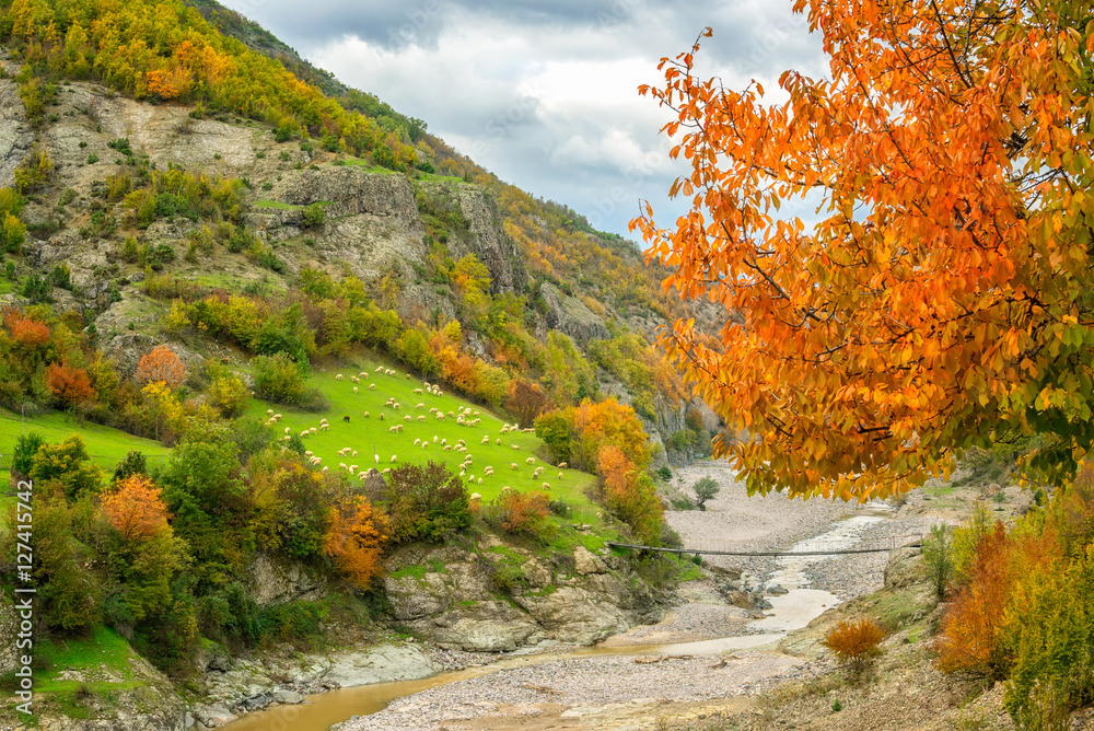 Golden autumn /
Amazing autumn view of a mountain meadow in Rhodope Mountains, Bulgaria Golden autumn /
Amazing autumn view of a mountain meadow in Rhodope Mountains, Bulgaria