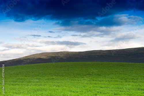 Norway summer meadow with hills landscape background