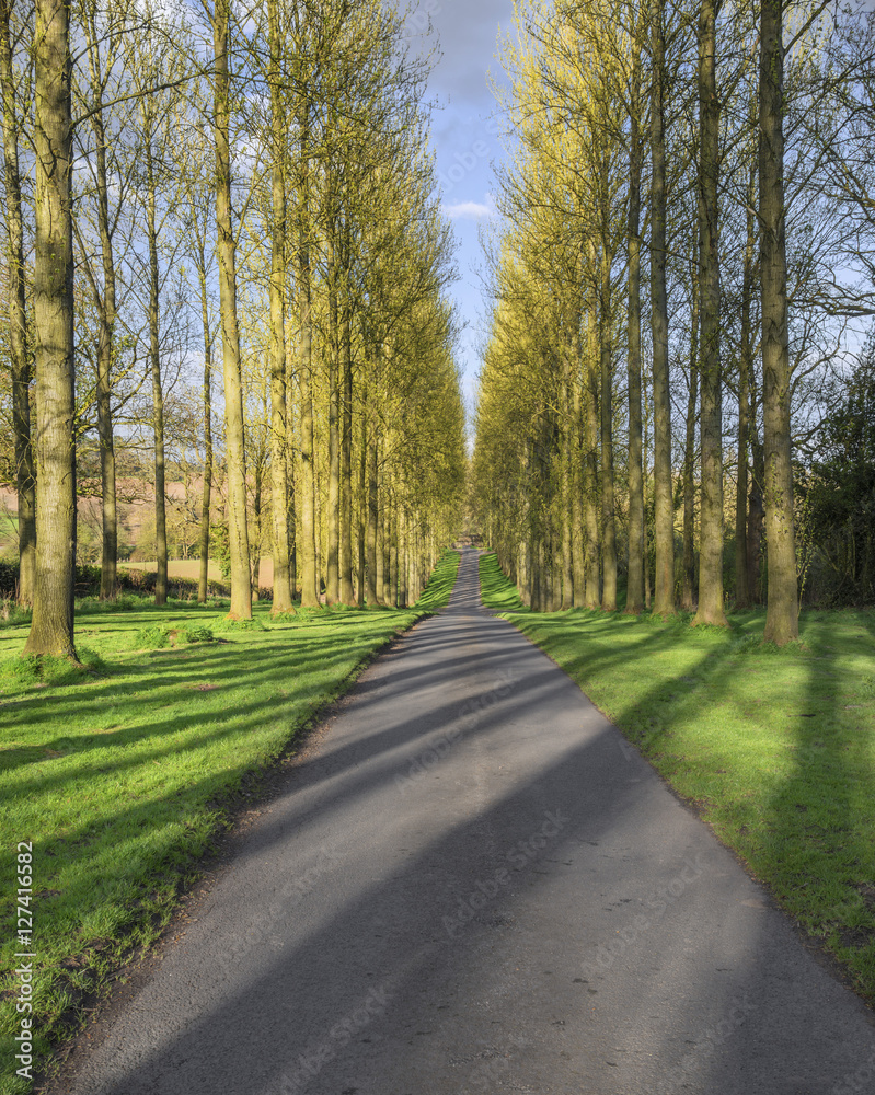 generic typical english countryside