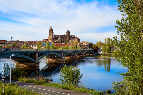 Salamanca skyline in Enrique Estevan bridge