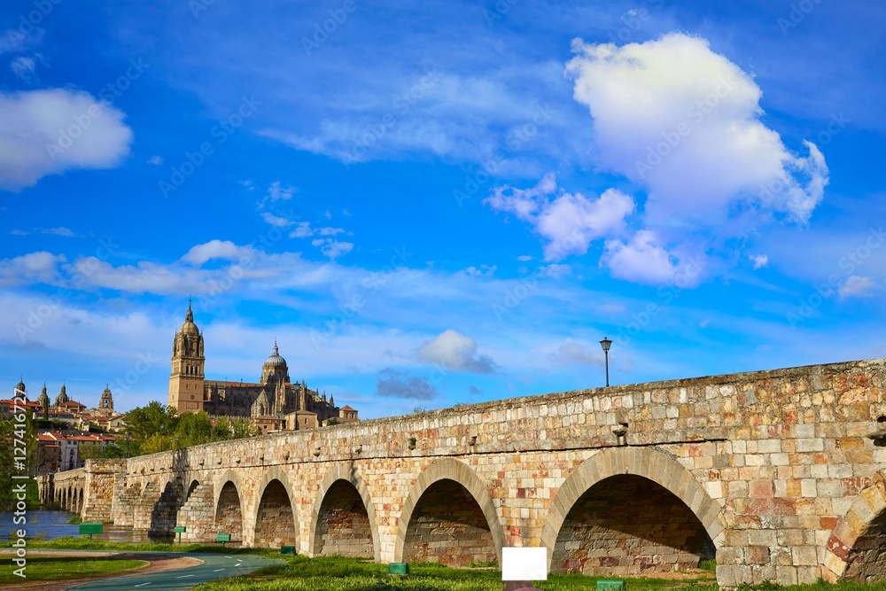 Salamanca skyline and roman bridge on Tormes