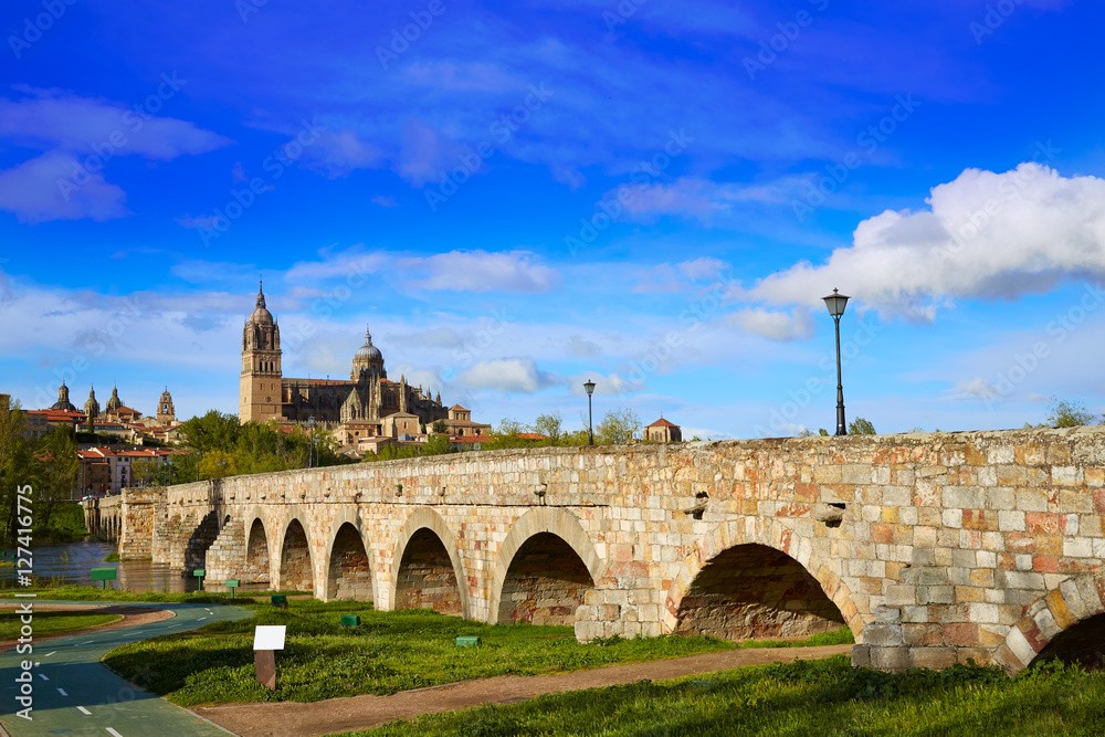 Fototapeta premium Salamanca skyline and roman bridge on Tormes