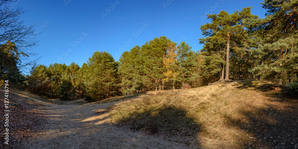 Sanddünen im Berliner Urstromtal: die Püttberge in Wilhelmshagen