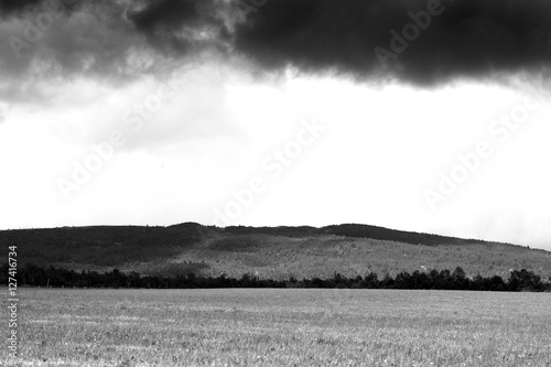 Horizontal Norway field under overcast clouds background