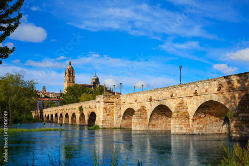 Canvas Print Salamanca skyline and roman bridge on Tormes