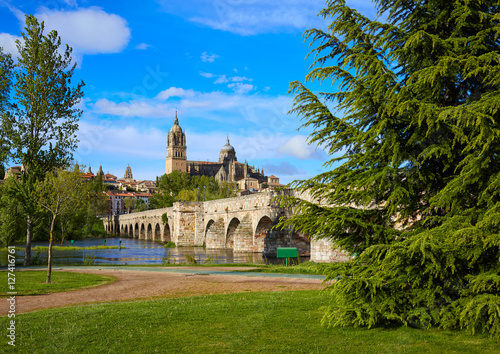 Salamanca skyline and roman bridge on Tormes