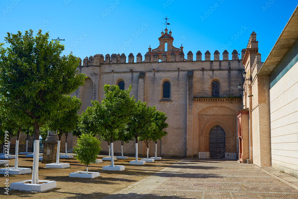 Obraz premium Saint Isidoro Campo Monastery in Santiponce