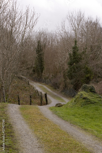 Landscapes of Ireland, West Cork in Winter