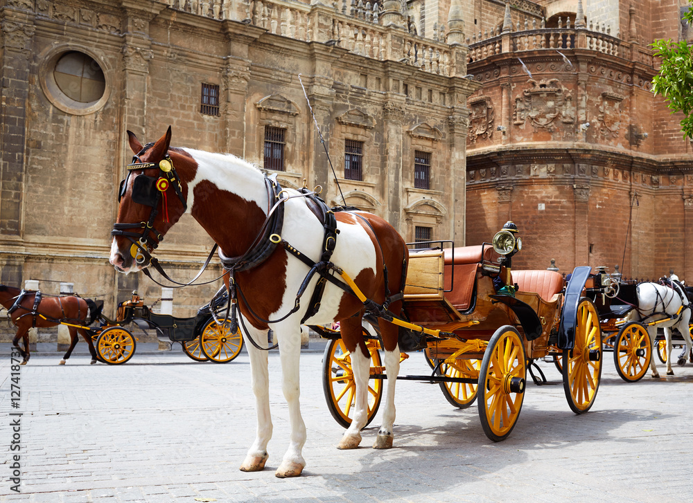 Seville horse carriages in Cathedral of Sevilla Seville horse carriages in Cathedral of Sevilla