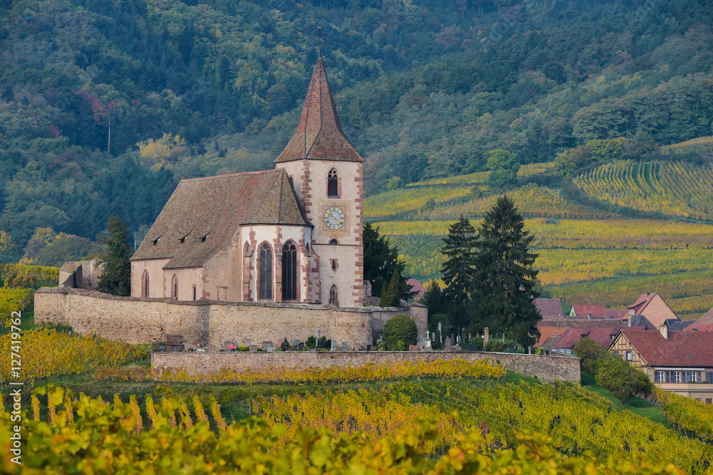 Hunawihr, Alsace Vineyard, France