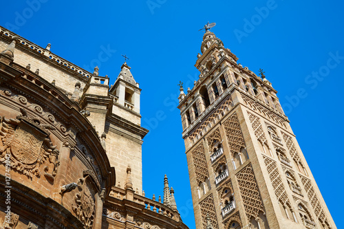 Seville cathedral Giralda tower Sevilla Spain © lunamarina