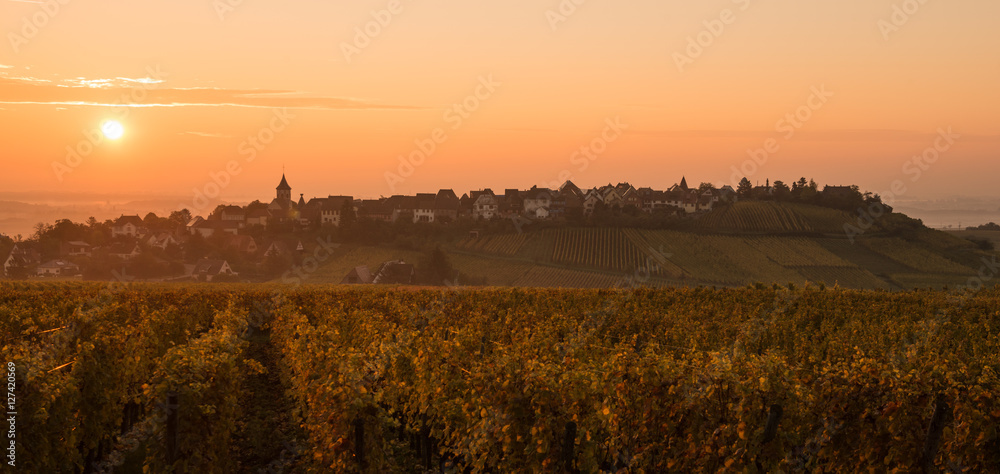 The Village of Zellenberg at sunrise,Alsace vineyard, France