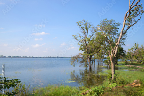 Ancient reservoir Tissa Wewa on the sunny day. Anuradhapura, Sri Lanka
