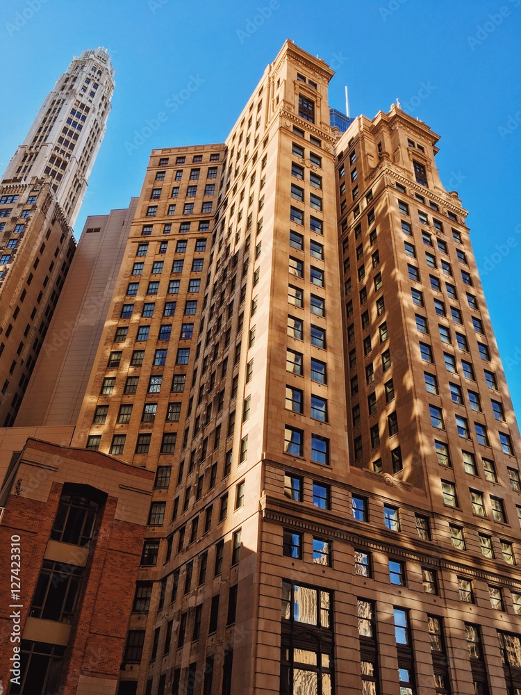 Fototapeta premium downtown
