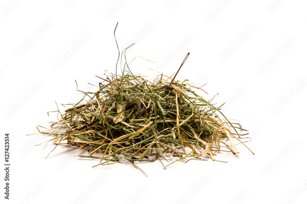 Fototapeta premium Nadel im Heuhaufen suchen