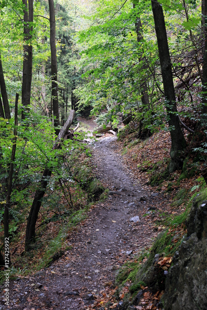 Harzer Hexenstieg im Bodetal Harzer Hexenstieg im Bodetal